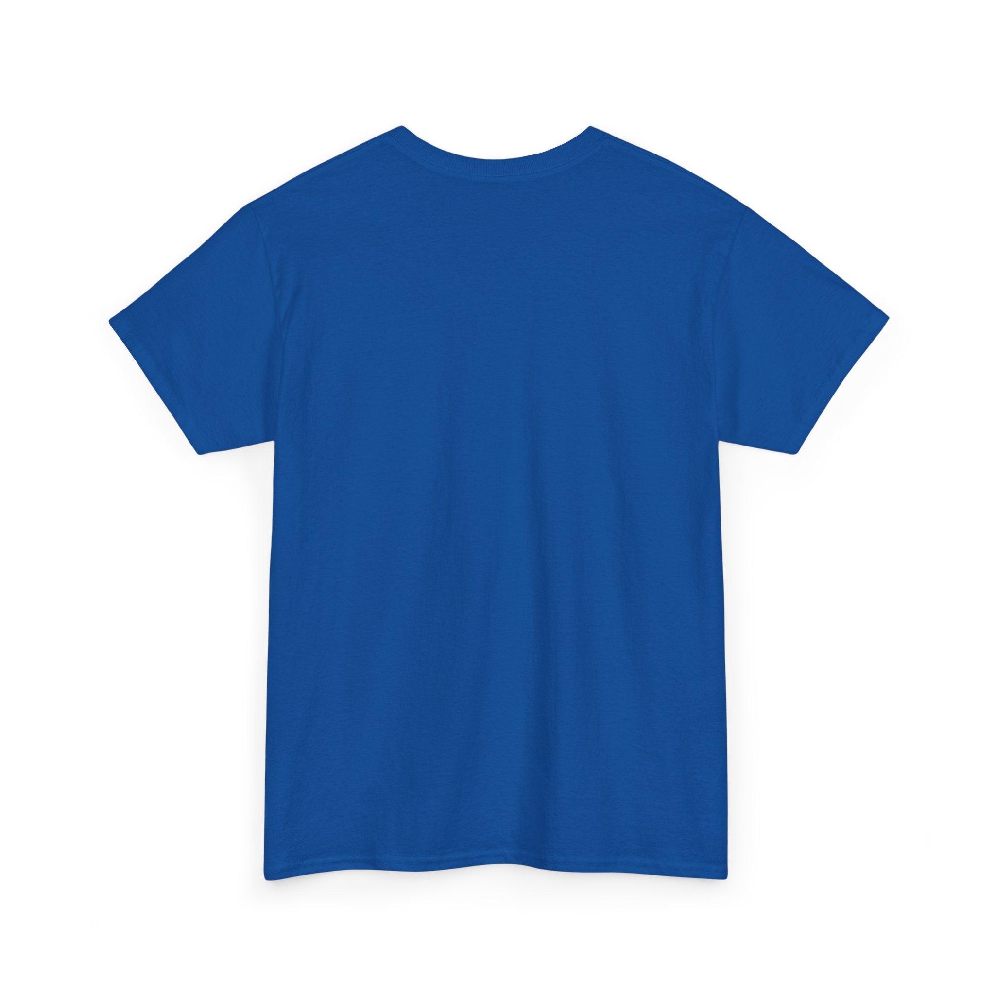Have Compassion Like Christ Christian T-Shirt – Matthew 9:36 Faith Heavy Cotton Tee