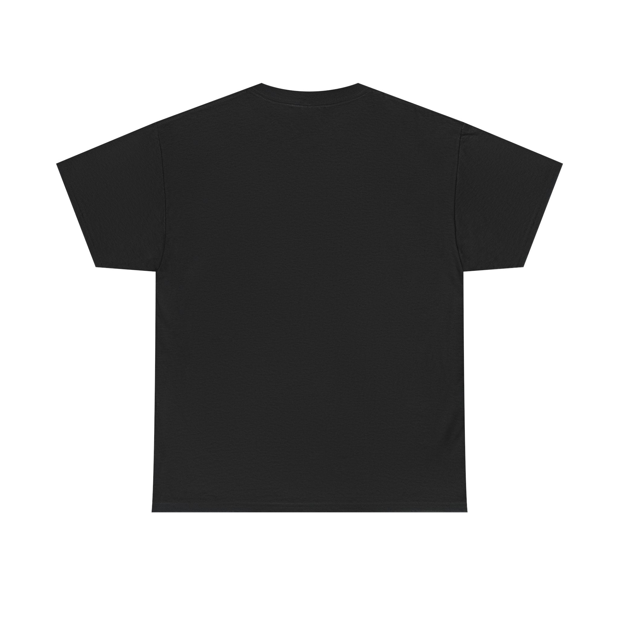 Have Compassion Like Christ Christian T-Shirt – Matthew 9:36 Faith Heavy Cotton Tee