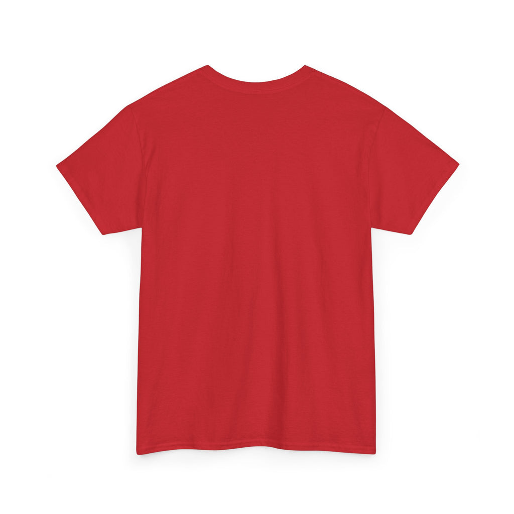 Have Compassion Like Christ Christian T-Shirt – Matthew 9:36 Faith Heavy Cotton Tee