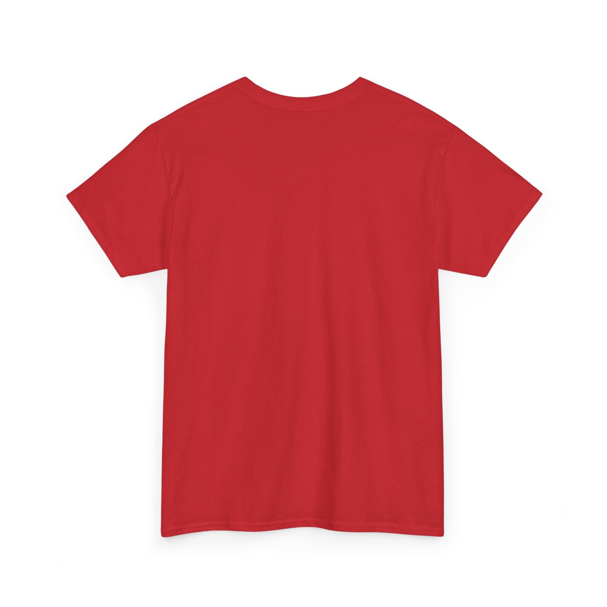 Have Compassion Like Christ Christian T-Shirt – Matthew 9:36 Faith Heavy Cotton Tee