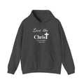 Love Like Christ Christian Hooded Sweatshirt