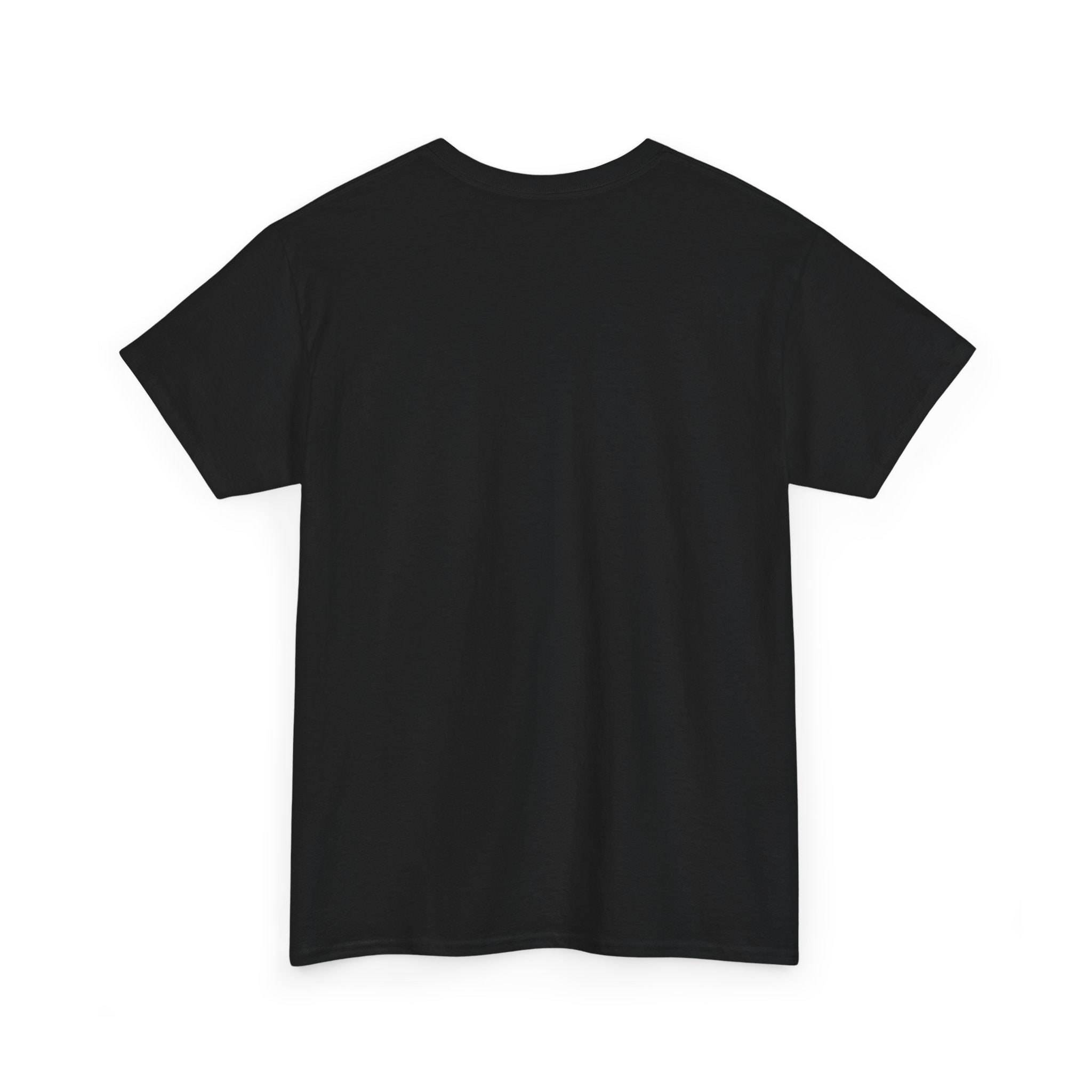 Have Compassion Like Christ Christian T-Shirt – Matthew 9:36 Faith Heavy Cotton Tee