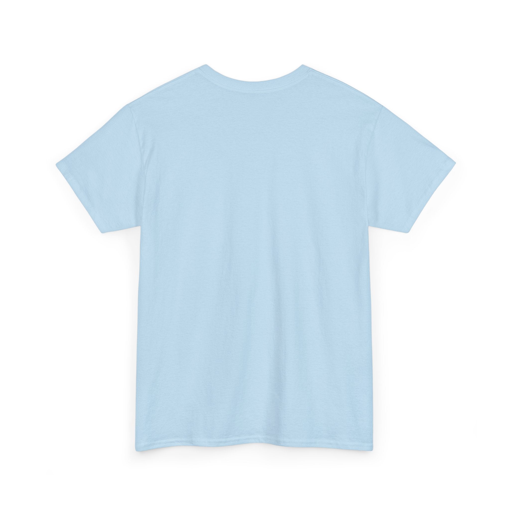 Have Compassion like Christ T Shirt